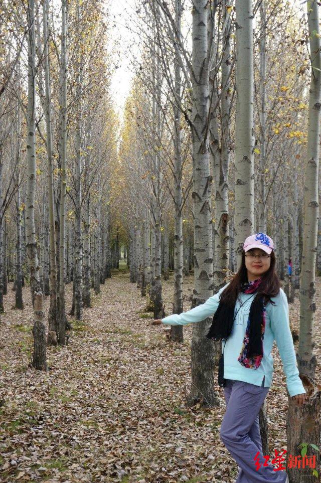 与成都，向未来 | 成都首批“产业建圈强链人才计划”入选者董娜：12年青春，同“城”发展